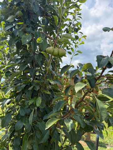 90 Denson Road, Liberty, KY 42539