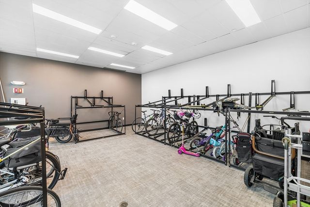 50 Leo M Birmingham Pkwy 201, Boston, MA 02135