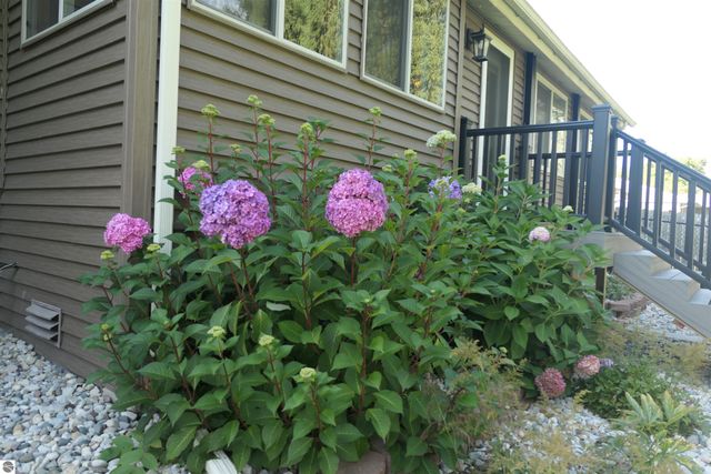 210 Pineview Drive, Alma, MI 48801