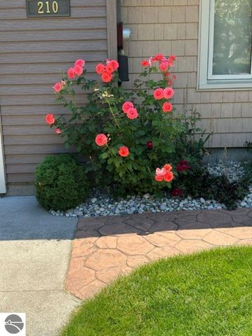 210 Pineview Drive, Alma, MI 48801