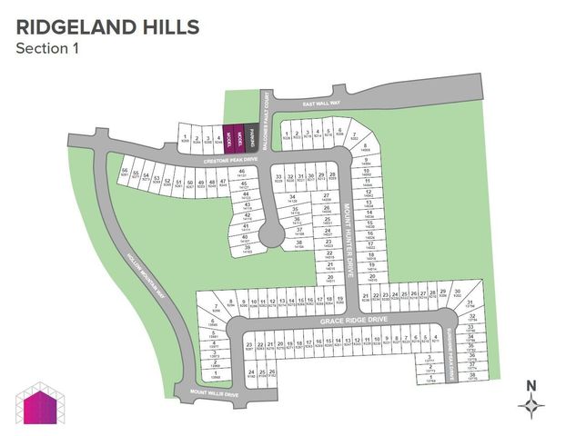 9247 Grace Ridge Drive, Willis, TX 77318