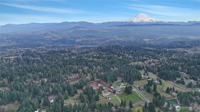 22015 146th Avenue E, Graham, WA 98338