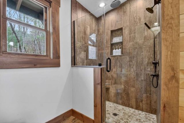 171 Cohutta Overlook Lane, Blue Ridge, GA 30513