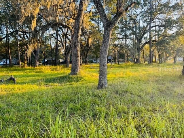 17476 NICHOLAS AVENUE, Brooksville, FL 34604