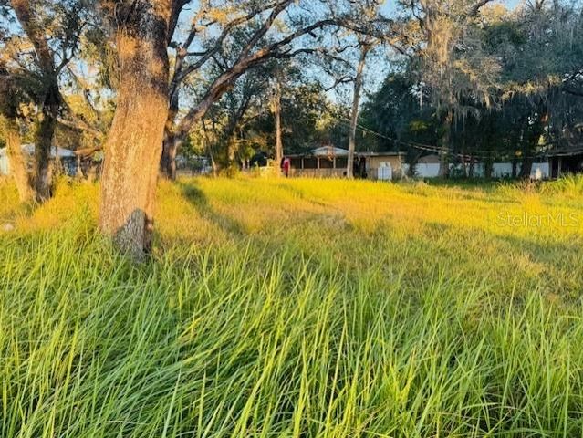 17476 NICHOLAS AVENUE, Brooksville, FL 34604