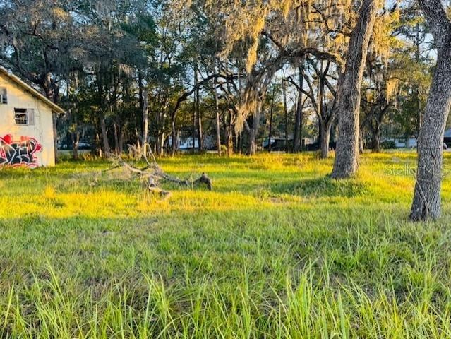 17476 NICHOLAS AVENUE, Brooksville, FL 34604