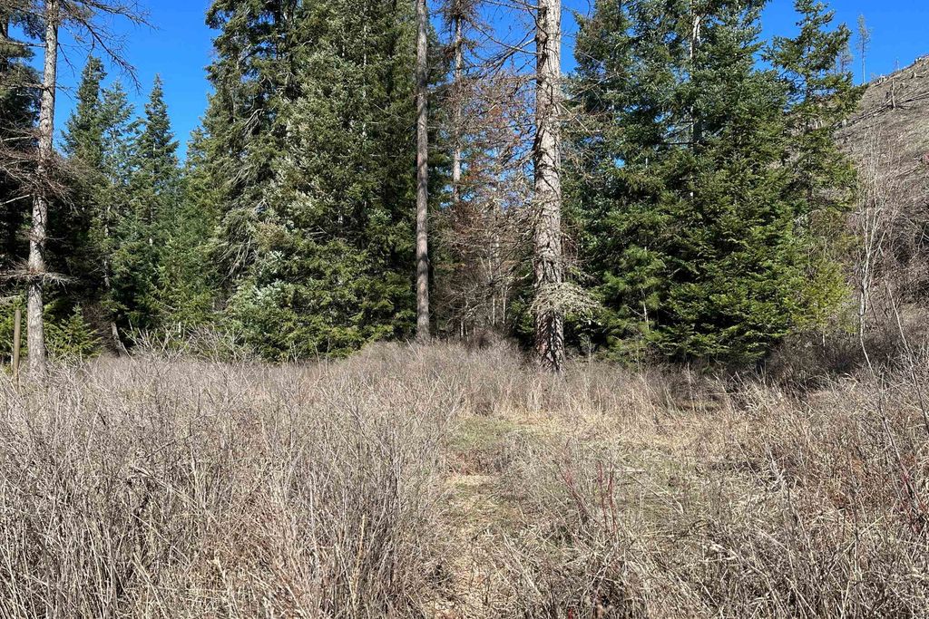 4149 North Deer Lake Rd, Loon Lake, WA 99148 photo 11