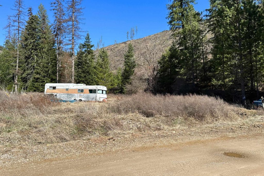 4149 North Deer Lake Rd, Loon Lake, WA 99148 photo 18