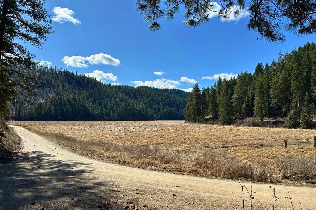 4149 North Deer Lake Rd, Loon Lake, WA 99148 photo 4