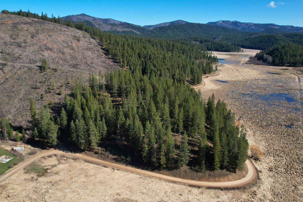 4149 North Deer Lake Rd, Loon Lake, WA 99148 photo 5