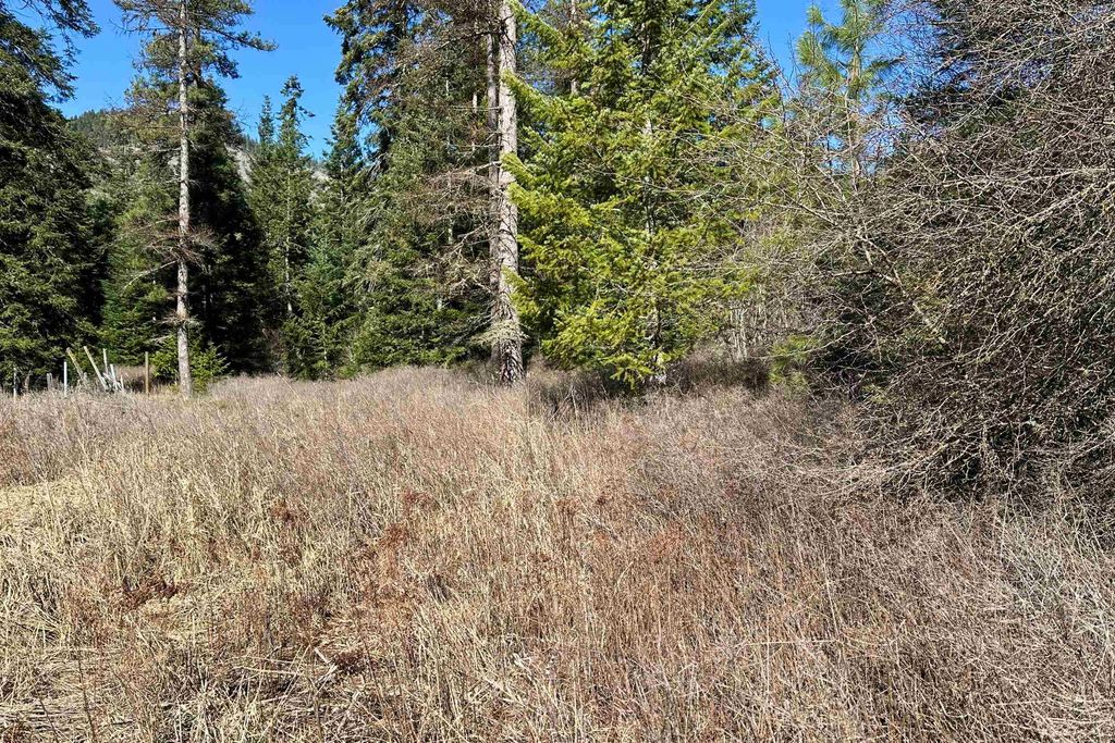 4149 North Deer Lake Rd, Loon Lake, WA 99148 photo 6