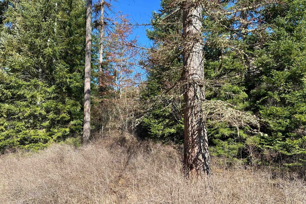 4149 North Deer Lake Rd, Loon Lake, WA 99148 photo 7