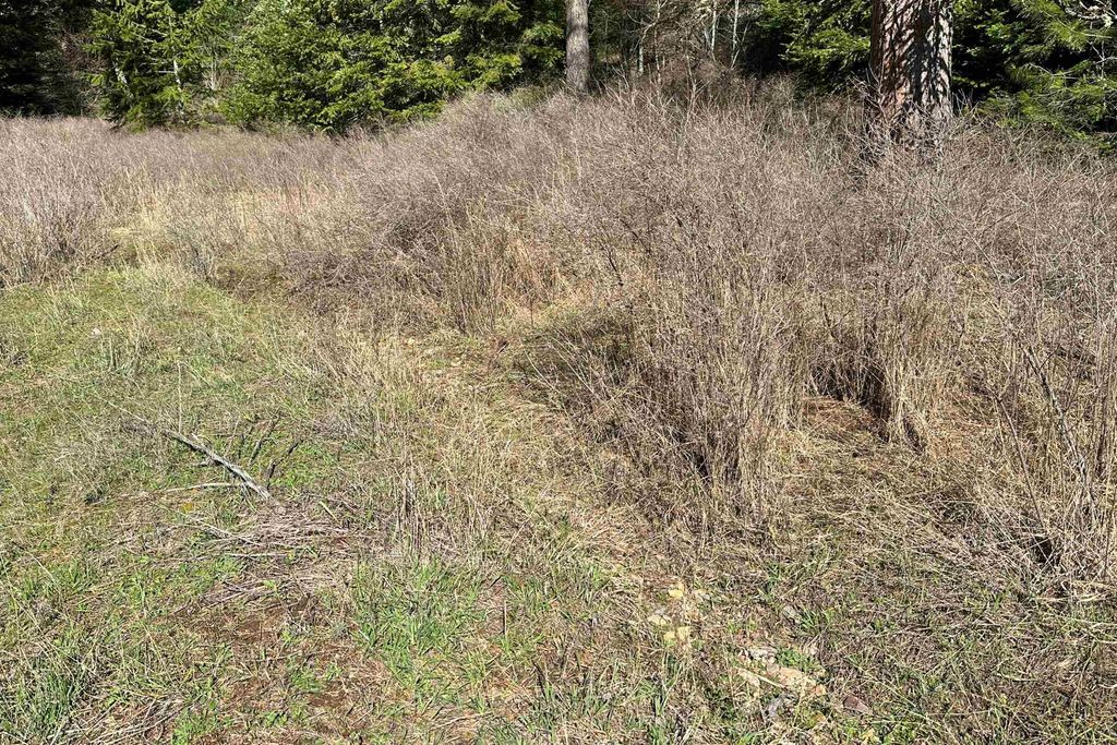 4149 North Deer Lake Rd, Loon Lake, WA 99148 photo 10