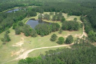 56.6 acres La Hwy 421, St Francisville, LA 70775