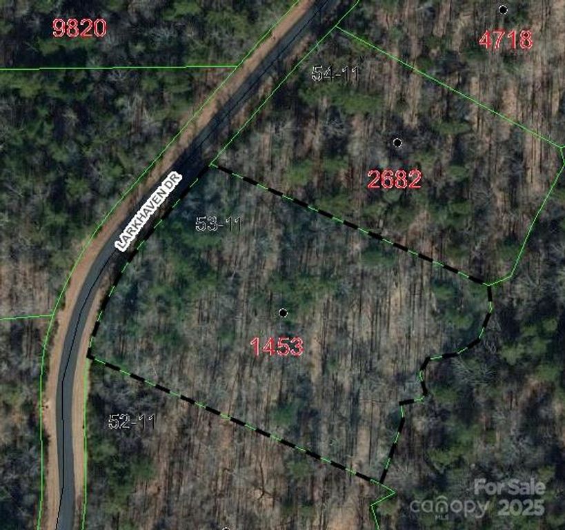 0000 Larkhaven Drive, Nebo, NC 28761