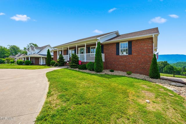 132 Landon Drive, Mount Carmel, TN 37645