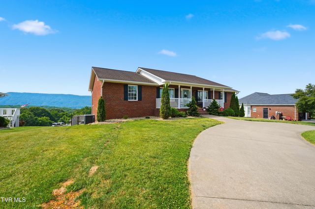 132 Landon Drive, Mount Carmel, TN 37645