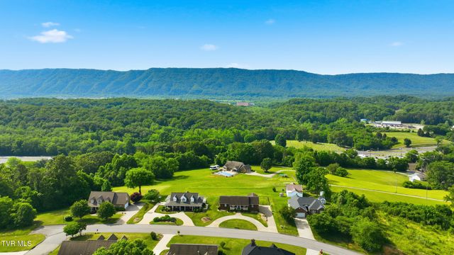 132 Landon Drive, Mount Carmel, TN 37645