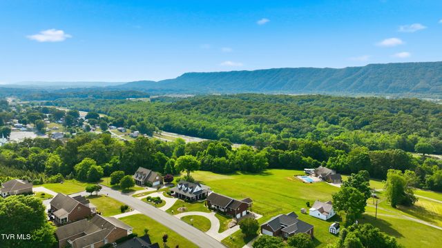 132 Landon Drive, Mount Carmel, TN 37645