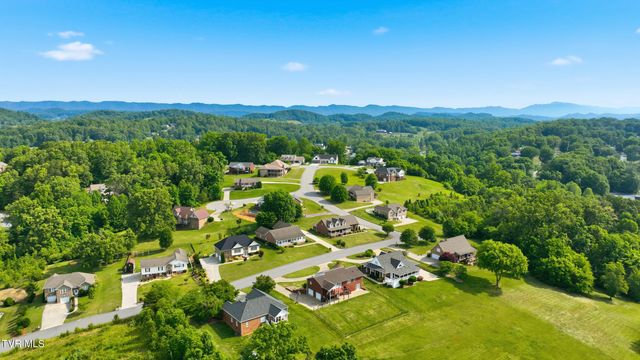 132 Landon Drive, Mount Carmel, TN 37645