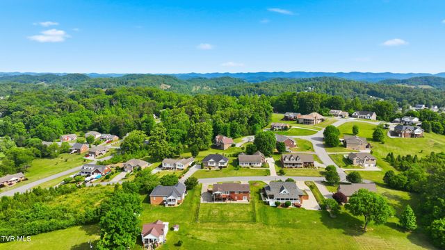 132 Landon Drive, Mount Carmel, TN 37645
