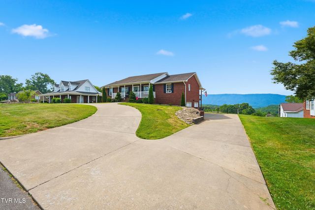 132 Landon Drive, Mount Carmel, TN 37645