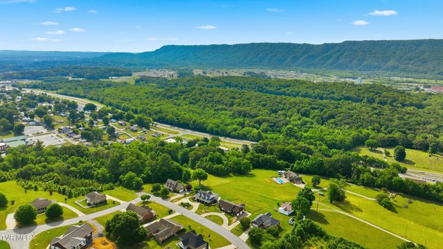 132 Landon Drive, Mount Carmel, TN 37645