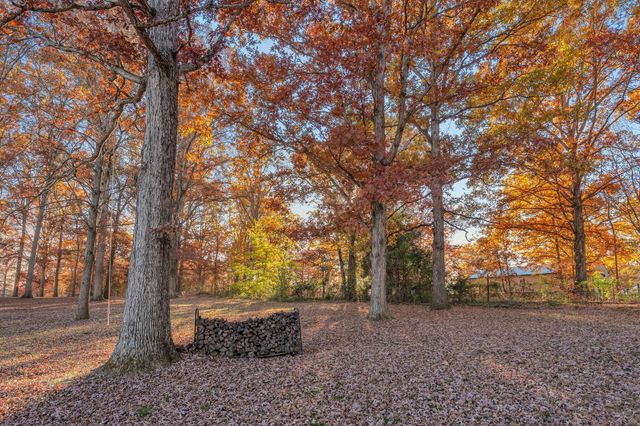 7315 McCormick Drive, Fairview, TN 37062