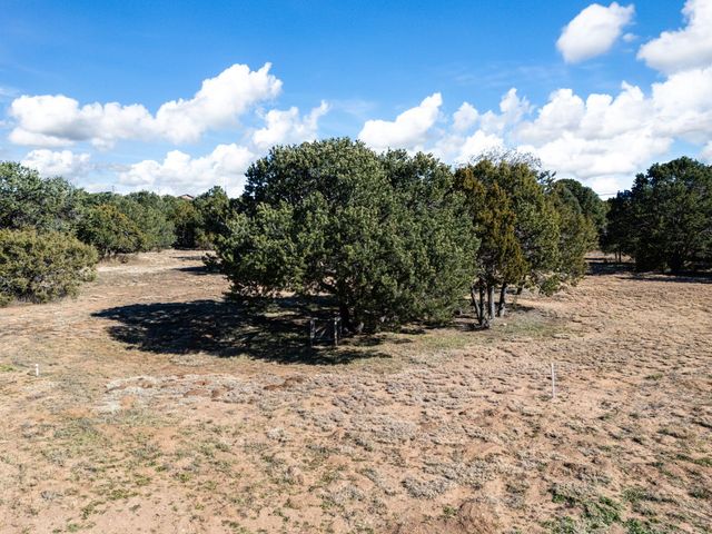 335 Sedillo Road, Tijeras, NM 87059