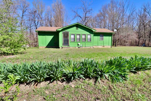 528 OLD FULTON RD, Henning, TN 38041