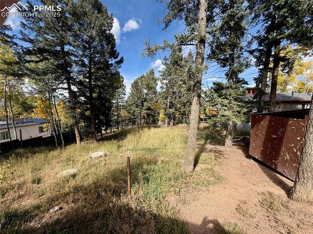 753 Will Stutley Drive, Divide, CO 80814