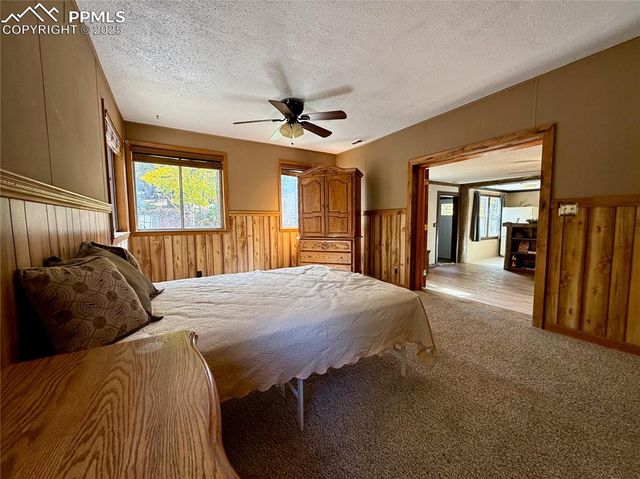 753 Will Stutley Drive, Divide, CO 80814