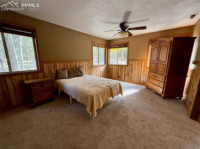 753 Will Stutley Drive, Divide, CO 80814