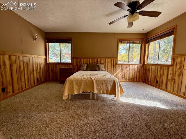 753 Will Stutley Drive, Divide, CO 80814