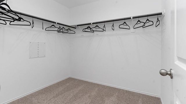 10707 Dogwood Sky Drive, Beasley, TX 77417