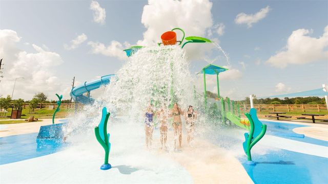 10707 Dogwood Sky Drive, Beasley, TX 77417