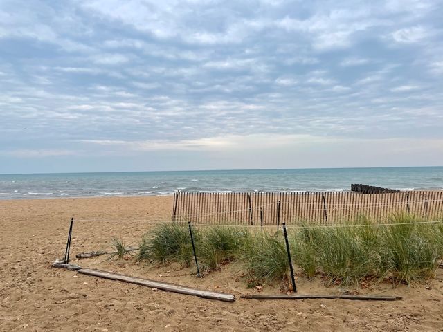 1057 W COLUMBIA Avenue 1E, Chicago, IL 60626