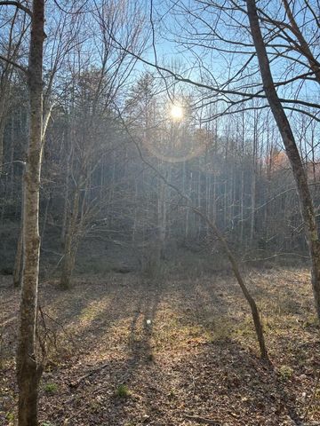 1830 Taylor School Road, London, KY 40741