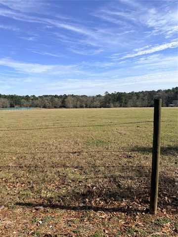 TBD Forest Trace Road, Richards, TX 77873