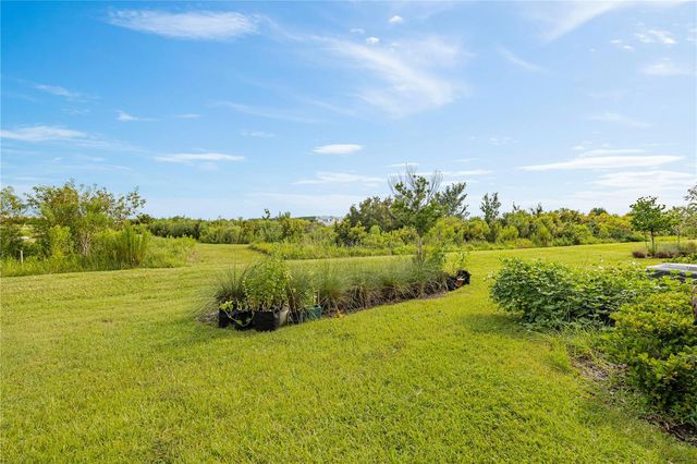 31603 BLUE PASSING LOOP, Wesley Chapel, FL 33545