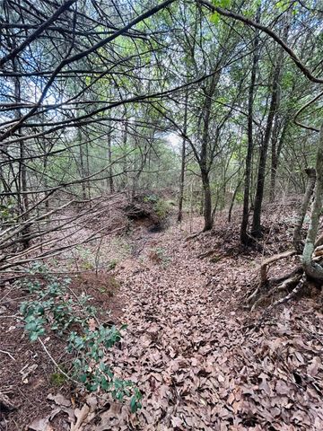 25 Acres Dunlavy Road, Cat Spring, TX 78933