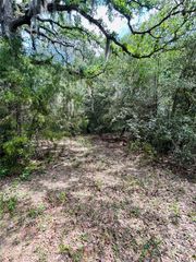 25 Acres Dunlavy Road, Cat Spring, TX 78933