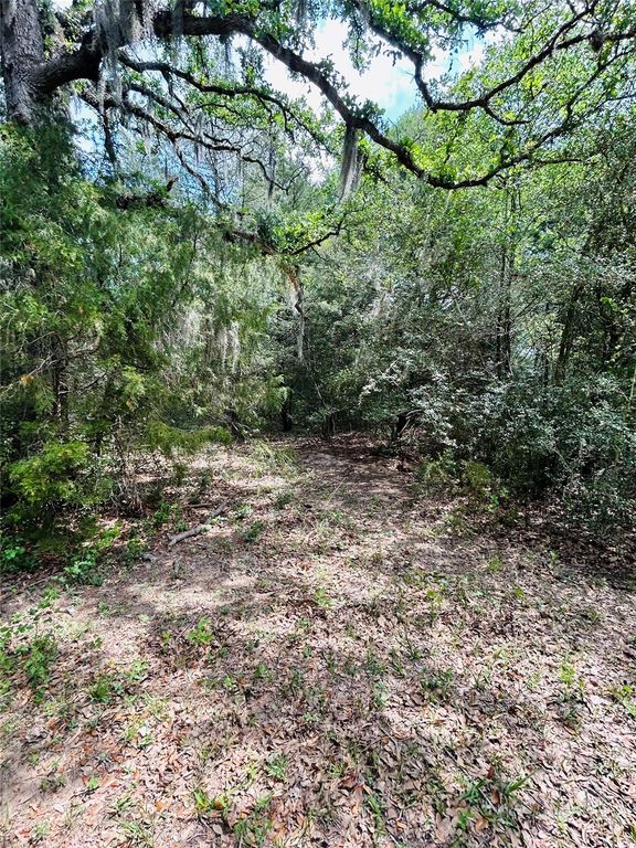 25 Acres Dunlavy Road, Cat Spring, TX 78933