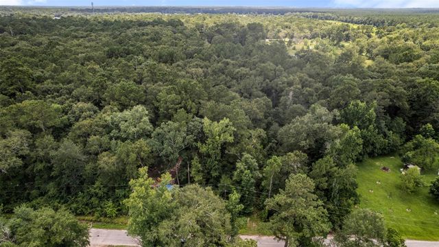 0 Sherwood Drive, Shepherd, TX 77371