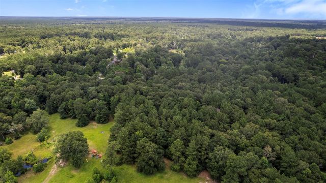 0 Sherwood Drive, Shepherd, TX 77371
