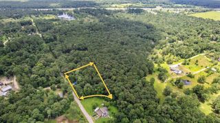 0 Sherwood Drive, Shepherd, TX 77371