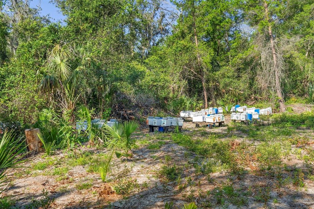 Image 15 of property listing at 1835 S GLENCOE ROAD, New Smyrna Beach, FL 32168