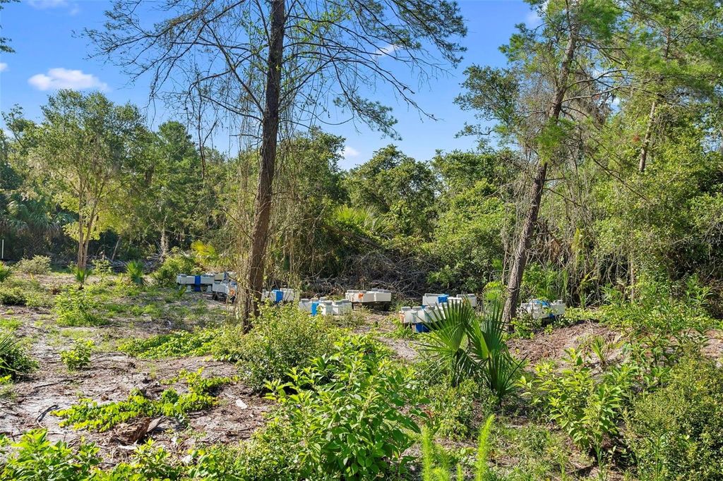 Image 17 of property listing at 1835 S GLENCOE ROAD, New Smyrna Beach, FL 32168