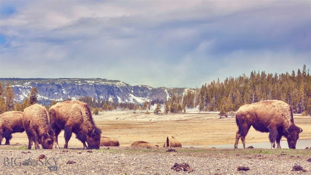 2695 Curly Bear Road, Big Sky, MT 59716 photo 38