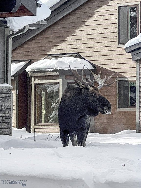 2695 Curly Bear Road, Big Sky, MT 59716 photo 6